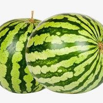 寿光网红大瓜 热门大瓜,热门事件背后的真相与争议