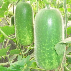 今日吃瓜热门大瓜每日更新51