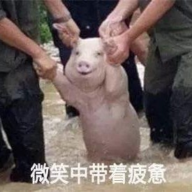 qq瓜群,揭秘网络社交的趣味与争议